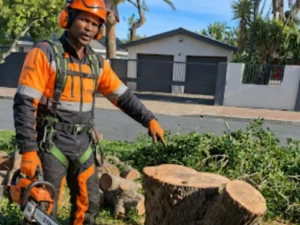 Unstoppable Tree Felling Team Member