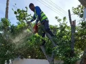 Team member in action cutting a tree