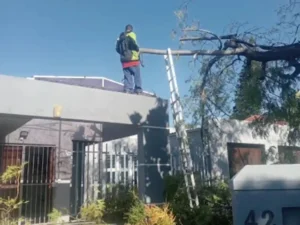Dangerous branch removal