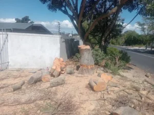 Stump removal Pretoria