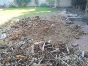 The ground after removing a stump