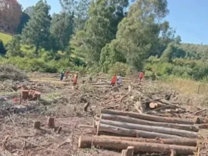 Site clearance team in Action