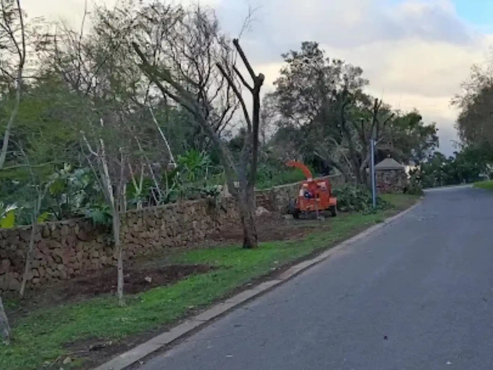 Tree Trimming in Pretoria and Centurion